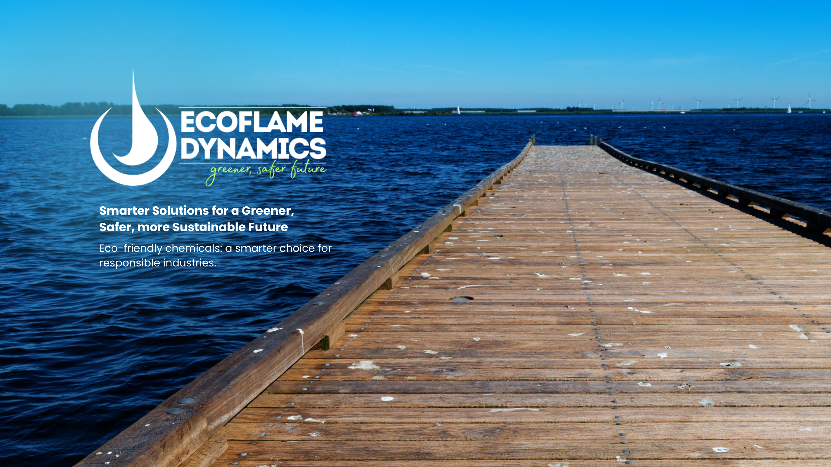 Ecoflame-Home