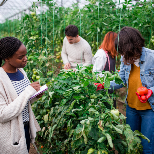 Agriculture-1